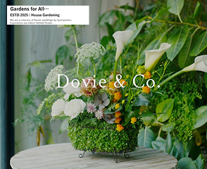 2025.4.20の記事へ